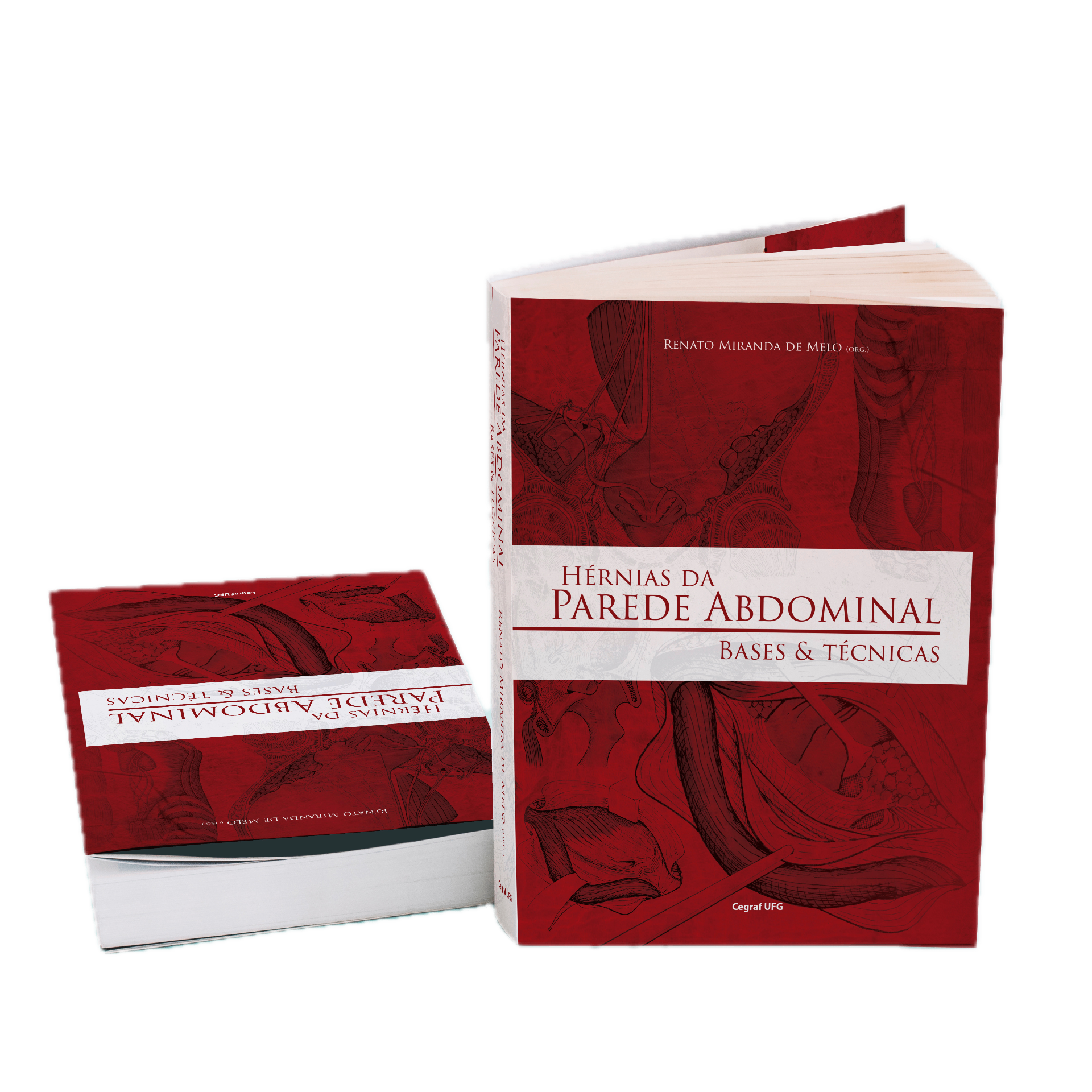 Livro Hérnias da Parede Abdominal — Bases & Técnicas, 2ª edição, organizado por Renato Miranda de Melo (Cegraf UFG)